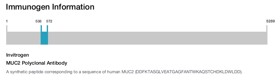 MUC2 Polyclonal Antibody