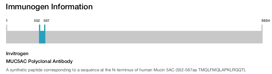MUC5AC Polyclonal Antibody