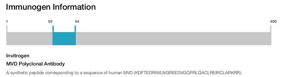 MVD Polyclonal Antibody