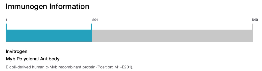 Myb Polyclonal Antibody