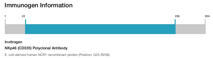 NKp46 (CD335) Polyclonal Antibody