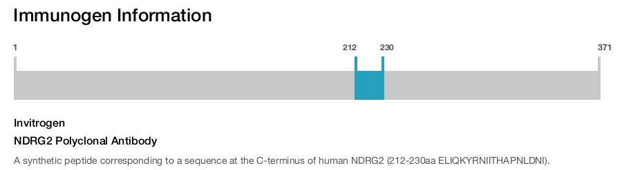 NDRG2 Polyclonal Antibody