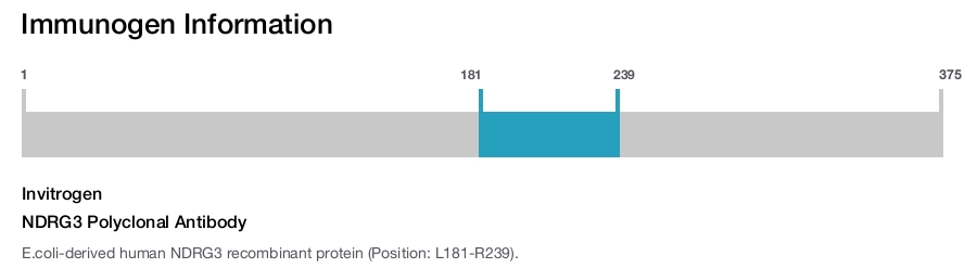 NDRG3 Polyclonal Antibody