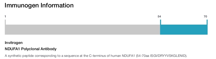 NDUFA1 Polyclonal Antibody