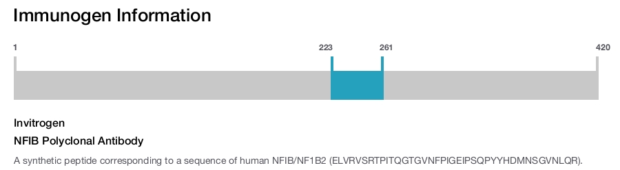 NFIB Polyclonal Antibody