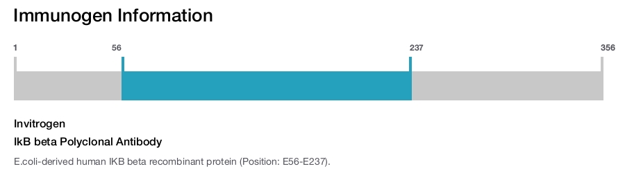 IkB beta Polyclonal Antibody