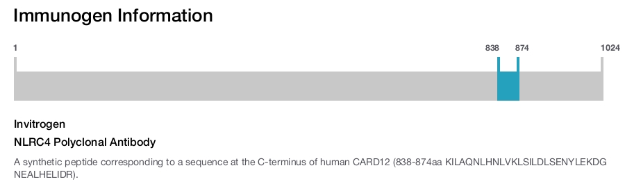 NLRC4 Polyclonal Antibody