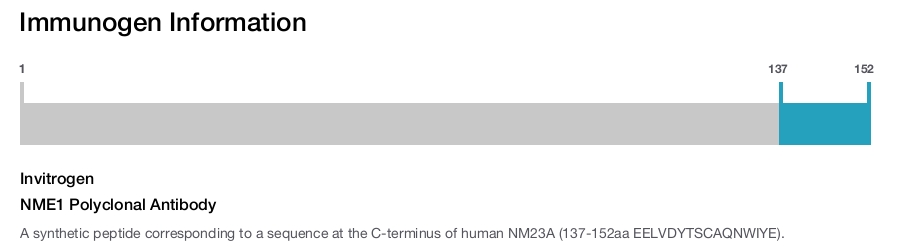 NME1 Polyclonal Antibody