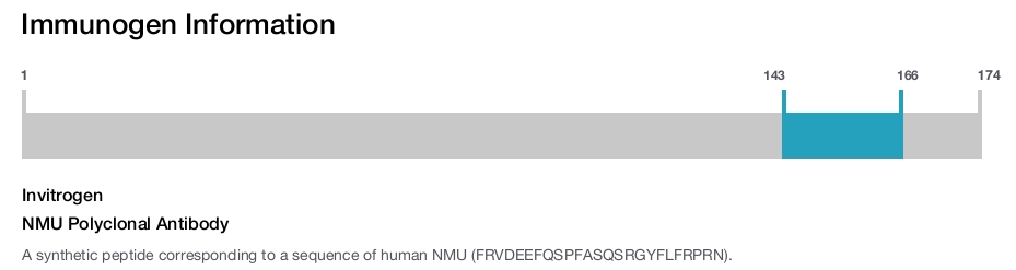 NMU Polyclonal Antibody