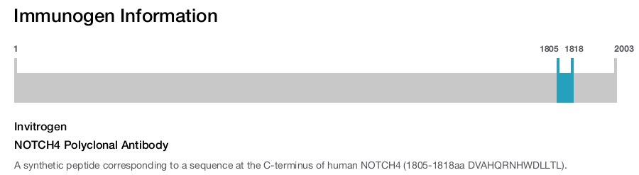 NOTCH4 Polyclonal Antibody