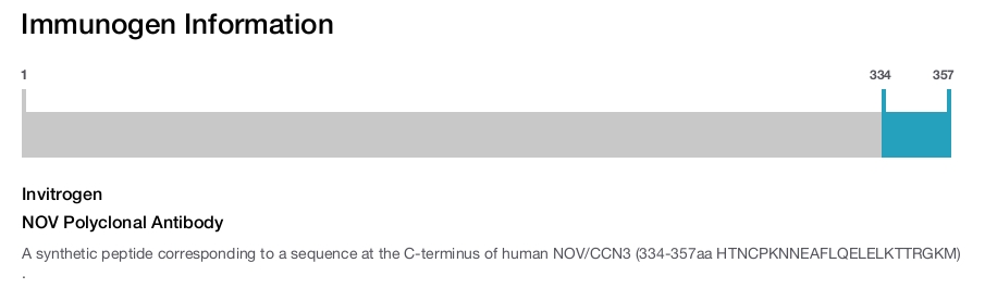 NOV Polyclonal Antibody