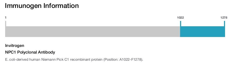NPC1 Polyclonal Antibody