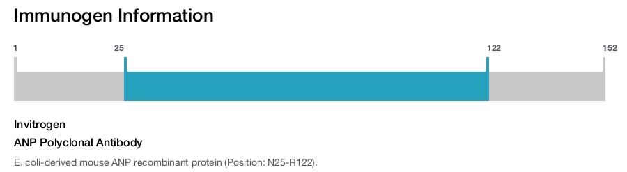 ANP Polyclonal Antibody