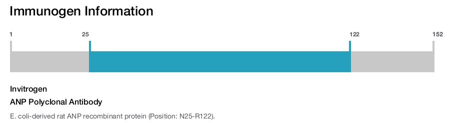 ANP Polyclonal Antibody