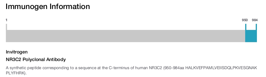 NR3C2 Polyclonal Antibody