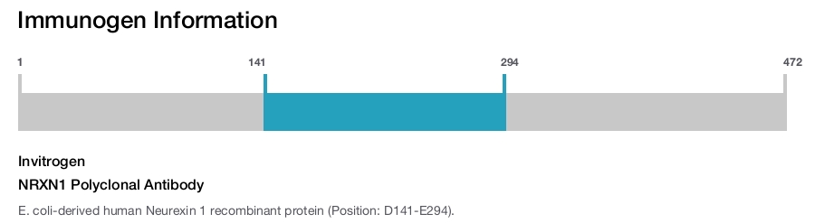 NRXN1 Polyclonal Antibody
