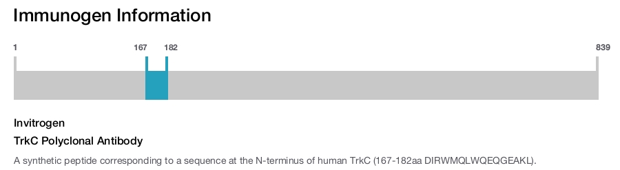 TrkC Polyclonal Antibody
