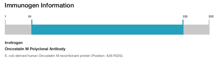 Oncostatin M Polyclonal Antibody