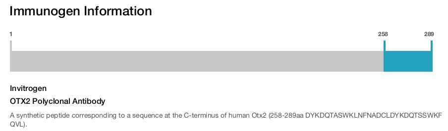 OTX2 Polyclonal Antibody