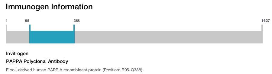 PAPPA Polyclonal Antibody