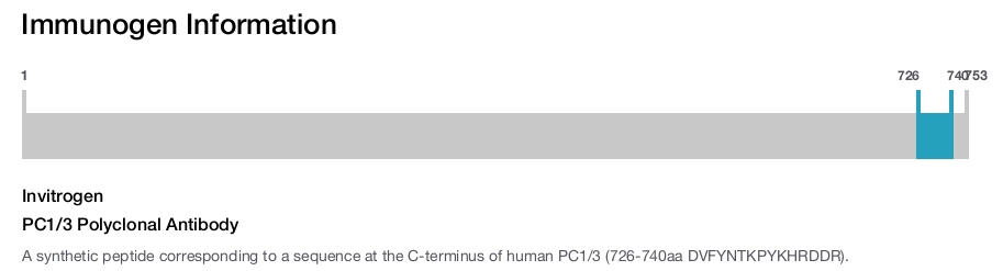 PC1/3 Polyclonal Antibody