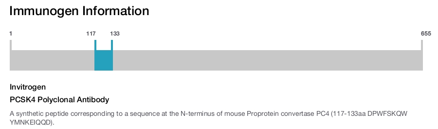PCSK4 Polyclonal Antibody