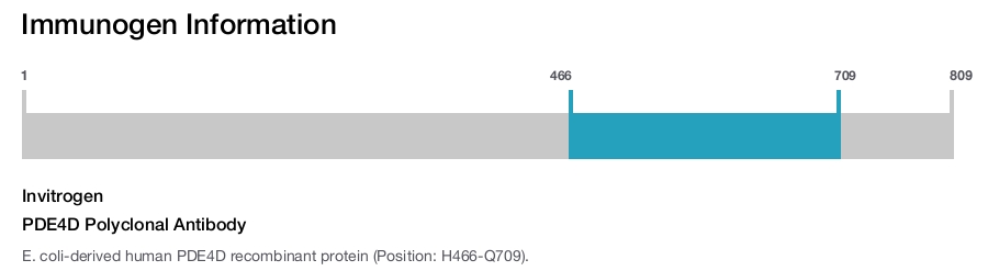 PDE4D Polyclonal Antibody