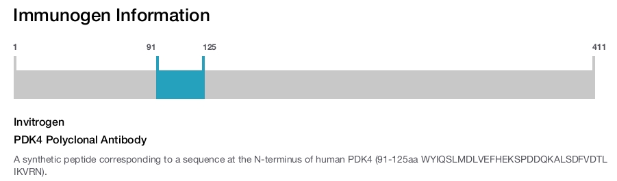 PDK4 Polyclonal Antibody
