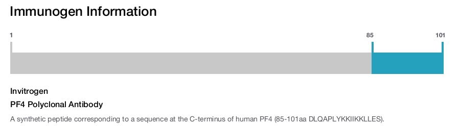 PF4 Polyclonal Antibody