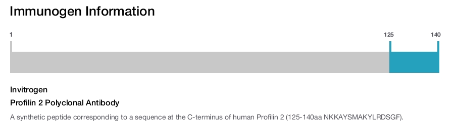 Profilin 2 Polyclonal Antibody