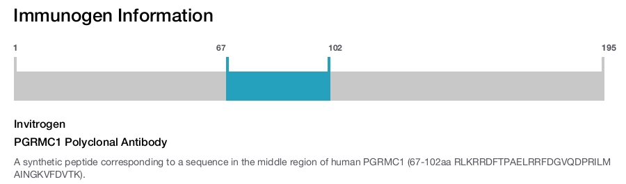 PGRMC1 Polyclonal Antibody