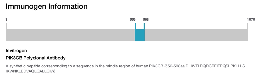 PIK3CB Polyclonal Antibody