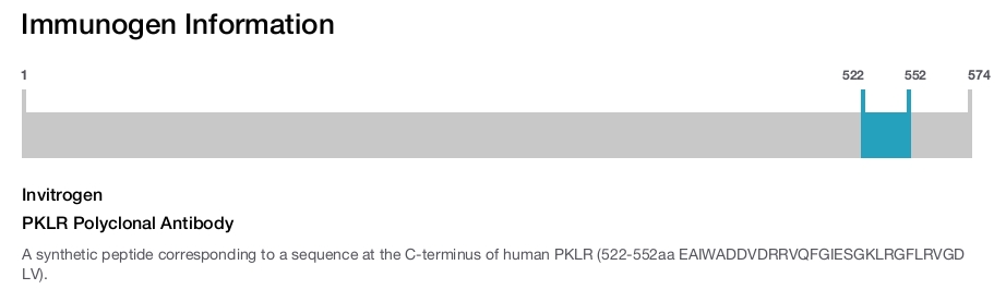 PKLR Polyclonal Antibody