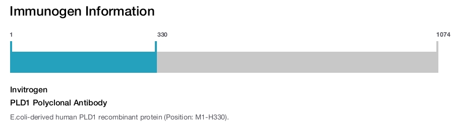 PLD1 Polyclonal Antibody