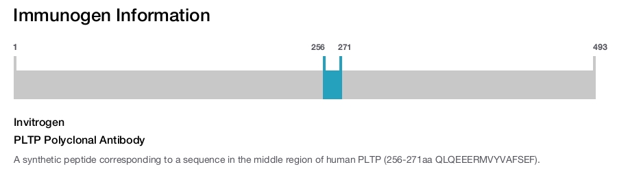PLTP Polyclonal Antibody