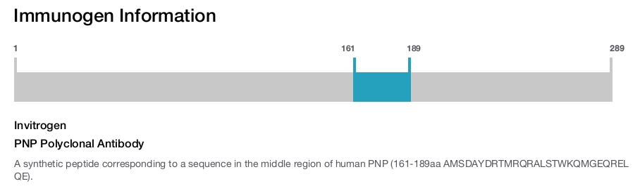 PNP Polyclonal Antibody