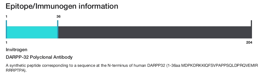 DARPP-32 Polyclonal Antibody