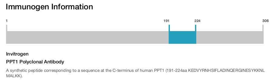 PPT1 Polyclonal Antibody