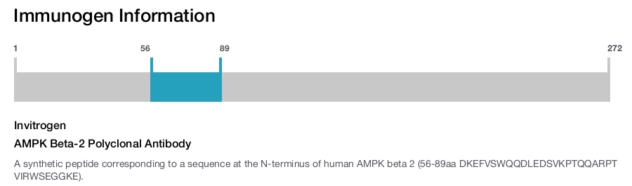 AMPK Beta-2 Polyclonal Antibody