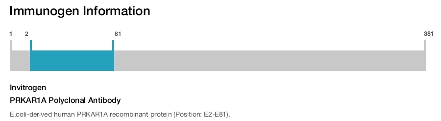 PRKAR1A Polyclonal Antibody
