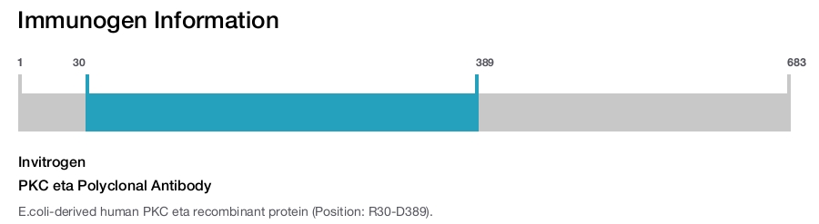 PKC eta Polyclonal Antibody