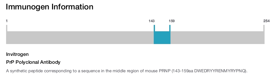 PrP Polyclonal Antibody