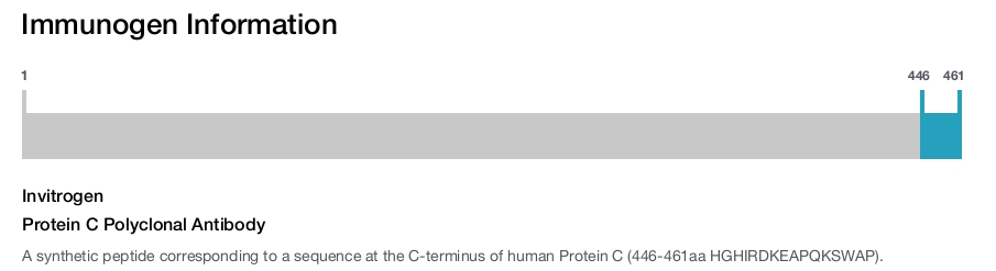 Protein C Polyclonal Antibody