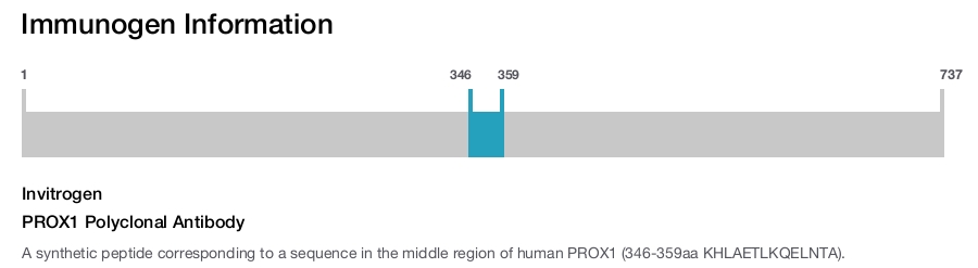 PROX1 Polyclonal Antibody
