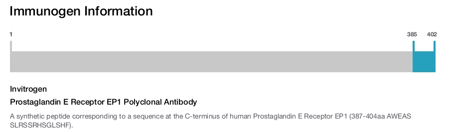 Prostaglandin E Receptor EP1 Polyclonal Antibody