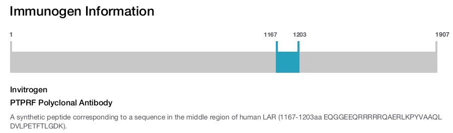 PTPRF Polyclonal Antibody