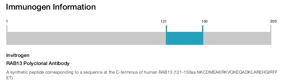 RAB13 Polyclonal Antibody