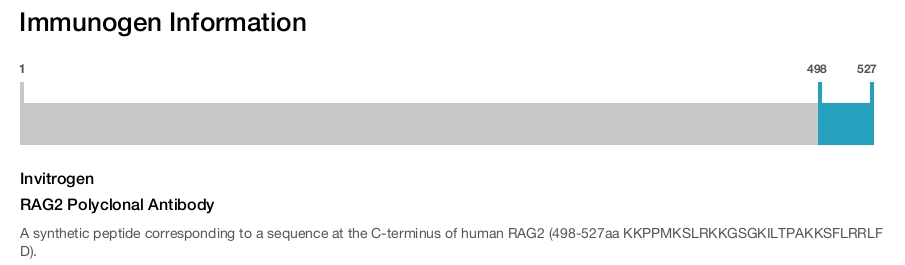 RAG2 Polyclonal Antibody