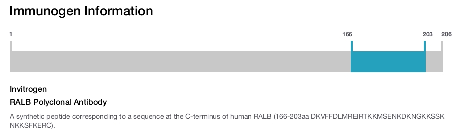 RALB Polyclonal Antibody