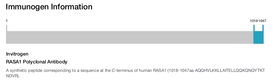 RASA1 Polyclonal Antibody